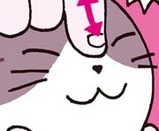 ねこつぼず