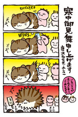 2008������塼