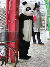 パンダちゃん