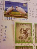 貯蓄で自立