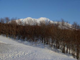 駒ケ岳1
