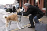 hachi