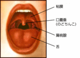 intoubu