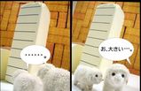 羊ちゃん