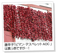トウガラシ