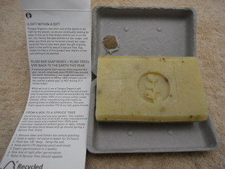 PANGEA BAR SOAP