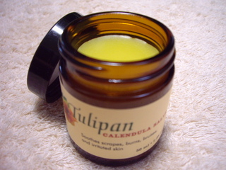 Tulipan
