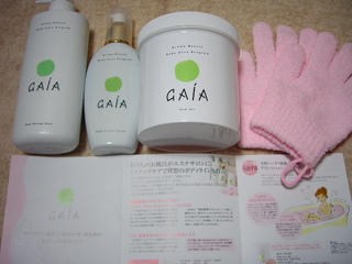 GAIA�����ޥӥ塼�ƥ������å�