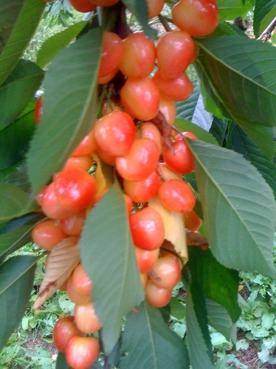 a89cb1e7.jpg