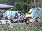 fe82982b.JPG