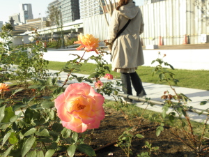 PB070352