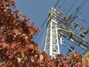 PB080356