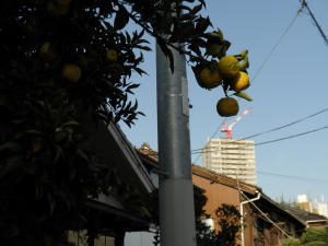 PB080363