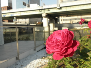 PB070359