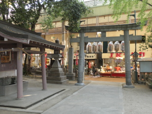 PB080362
