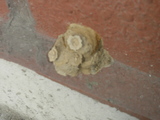 P8300174