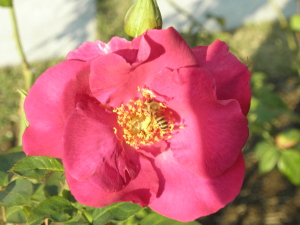 PB070356