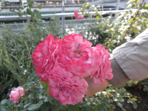 PB070341