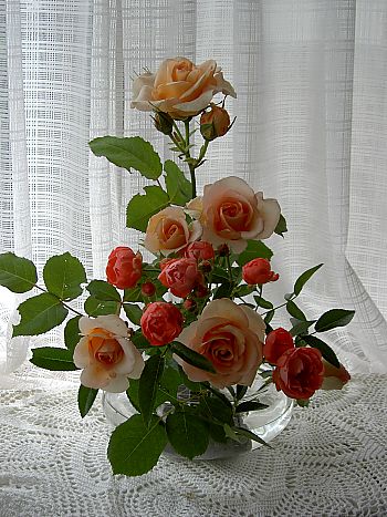 20080506
