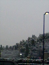 雪の大阪城公園