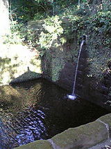 朝霞市膝折町にある氷川神社 滝?