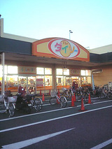 ダイソーいなげや大泉学園店