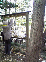 朝霞市膝折町にある氷川神社 結び場