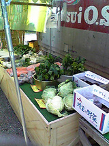 新座市 だちょう牧場 並木屋 野菜売り場