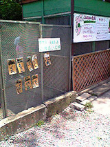 新座市 だちょう牧場 並木屋 うさぎ小屋