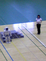 �����⡡�¸��������ΰ�ۤ���Ϫ�ܥ��硼�����ʾ��ߣ���