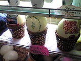 新座市 だちょう牧場 並木屋 だちょうの卵