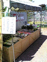 新座市 だちょう牧場 並木屋 野菜売り場