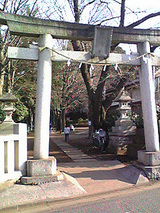 朝霞市膝折町にある氷川神社