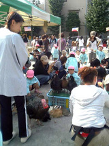 大和すみれ幼稚園 園内の様子