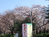 tsuruma080325