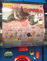にゃウンド肉球2