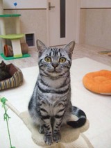 ǭ���ե����ץ�