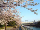 荒子川公園