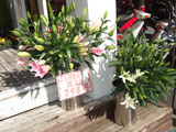 生花特価