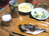 明治のラガー
