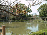 060327中村公園
