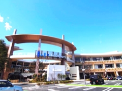 7966f481.jpg