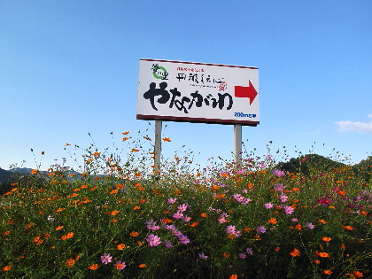 夢の里 やながわ 本店