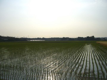 宇都宮080601.jpg