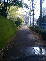 091027_1110~0001
