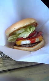 3150e287.jpg