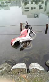 a257b5cc.jpg