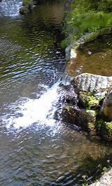 f95830f2.jpg