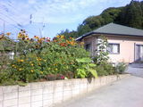 a4462b74.jpg
