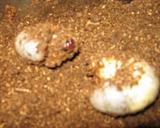 7f369ea4.jpg